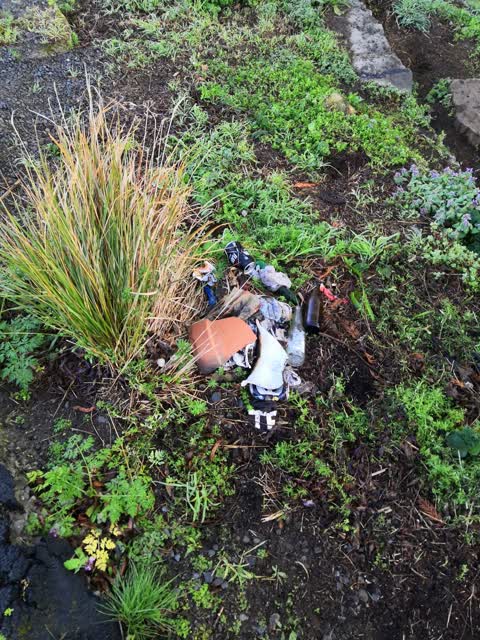 Rubbish/Recycling, a report photo