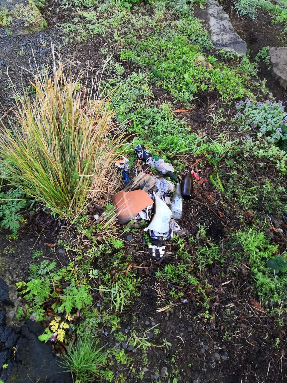 The photograph attached to this rubbish/recycling report