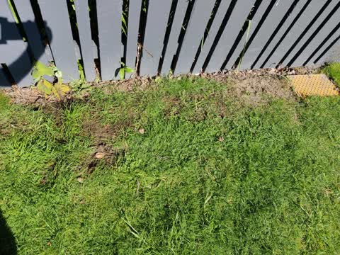 Water Leak, a report photo