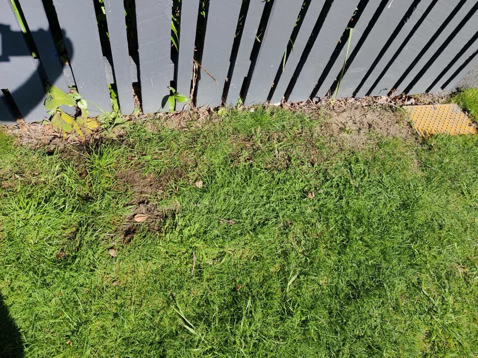 The photograph attached to this water leak report
