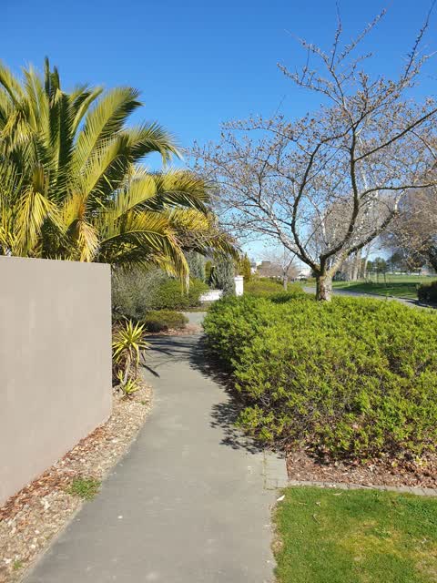 Parks, a report photo