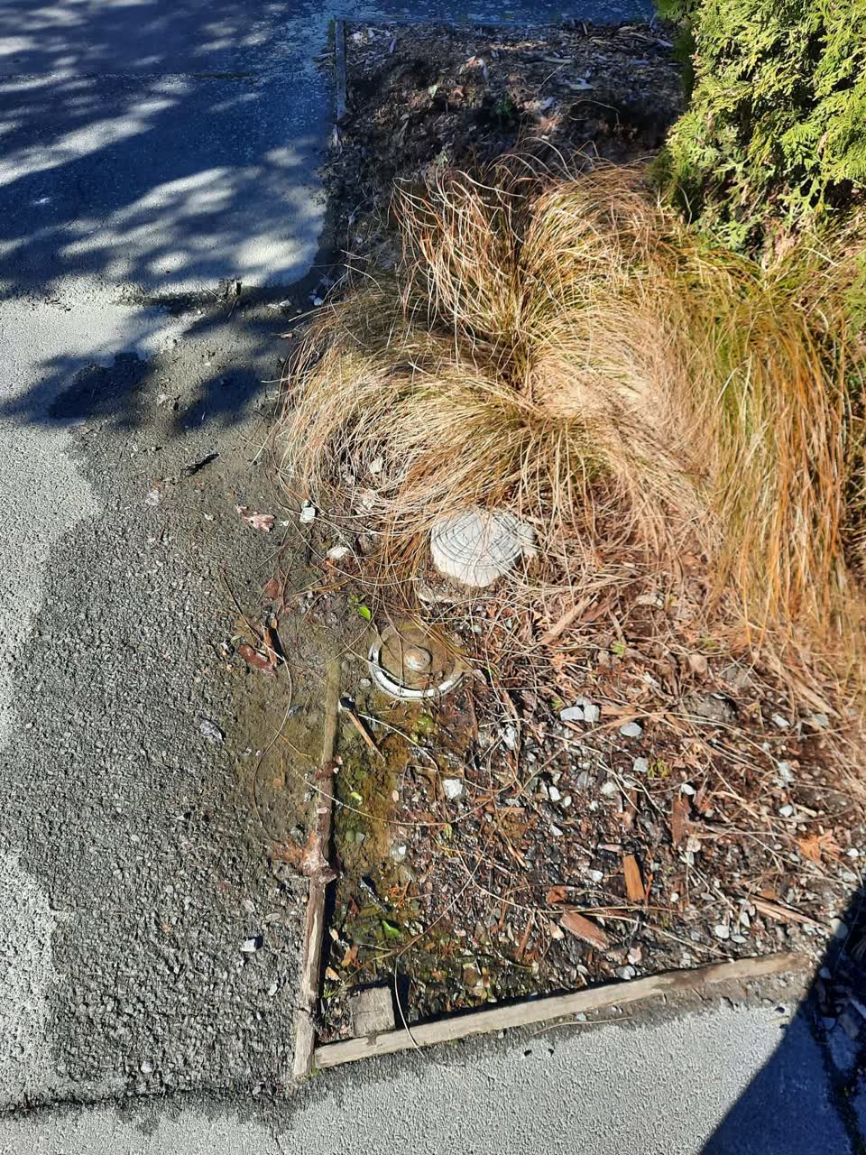 The photograph attached to this water leak report