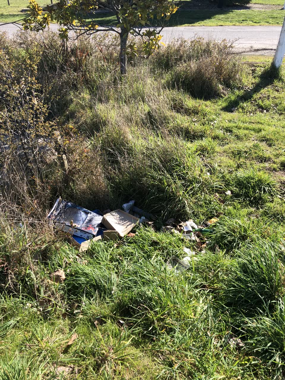 The photograph attached to this rubbish/recycling report