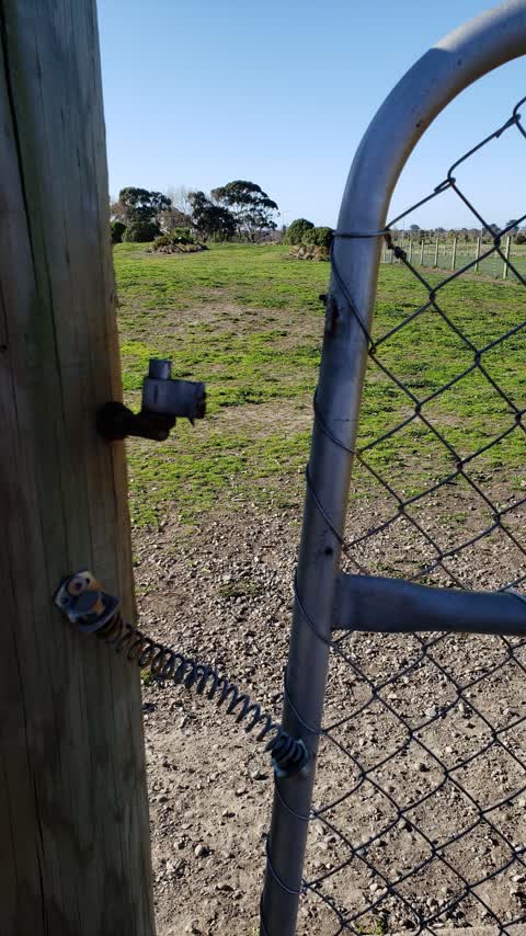 Parks, a report photo