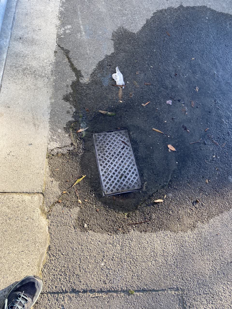 The photograph attached to this wastewater/stormwater report