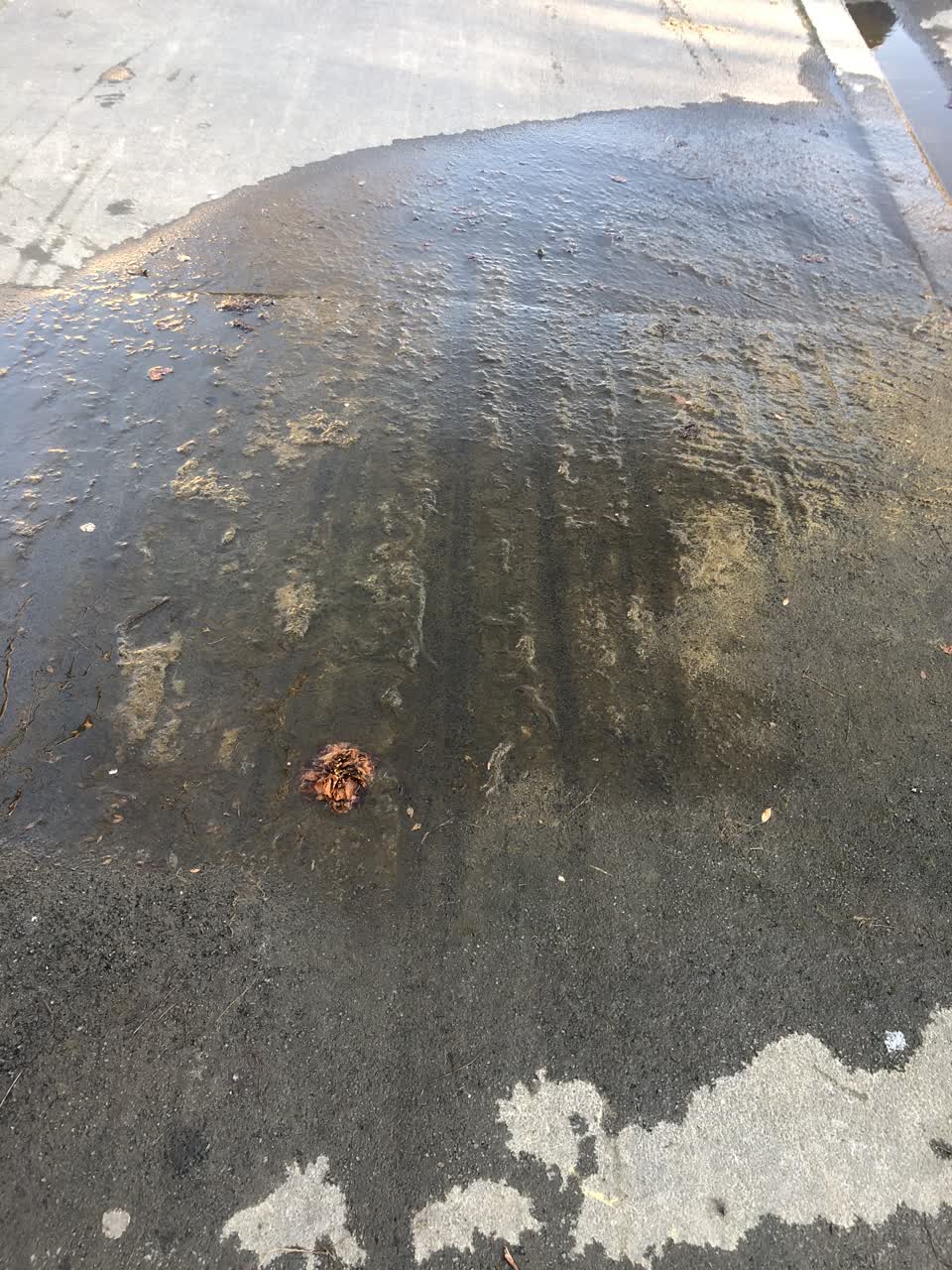 The photograph attached to this water leak report
