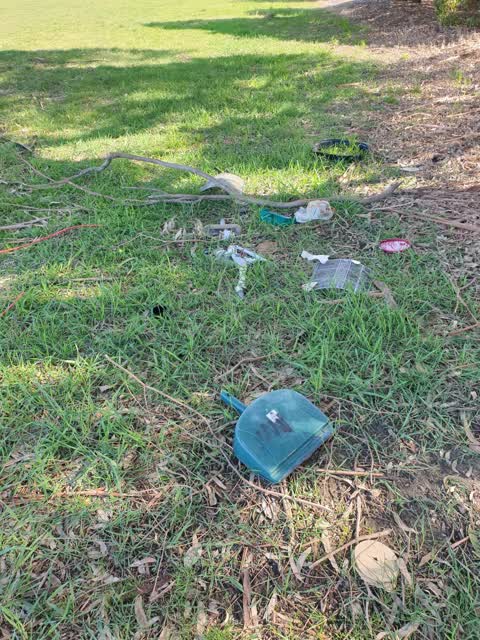 Parks, a report photo