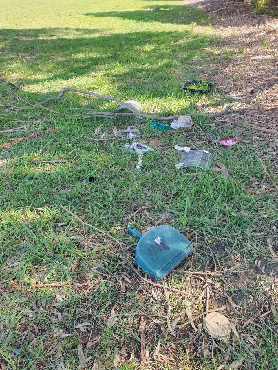 The photograph attached to this parks report
