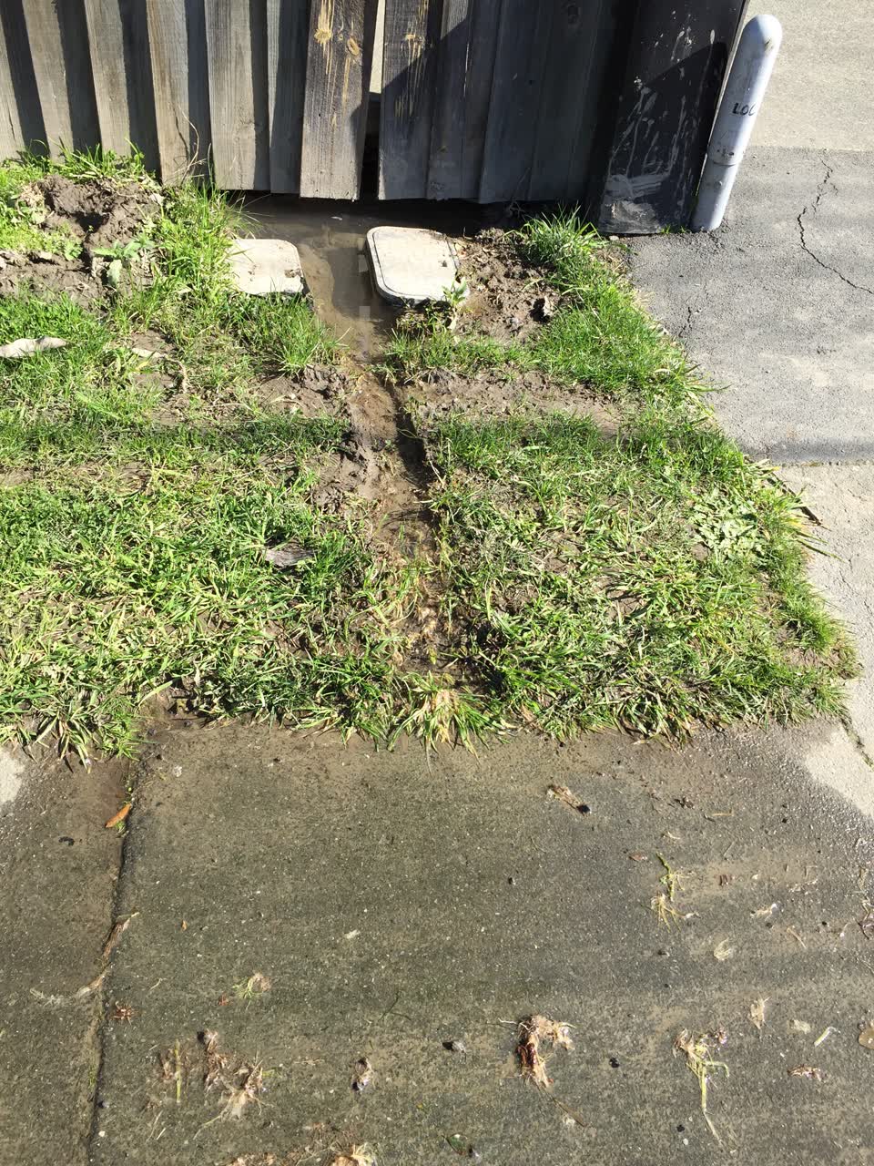 The photograph attached to this water leak report