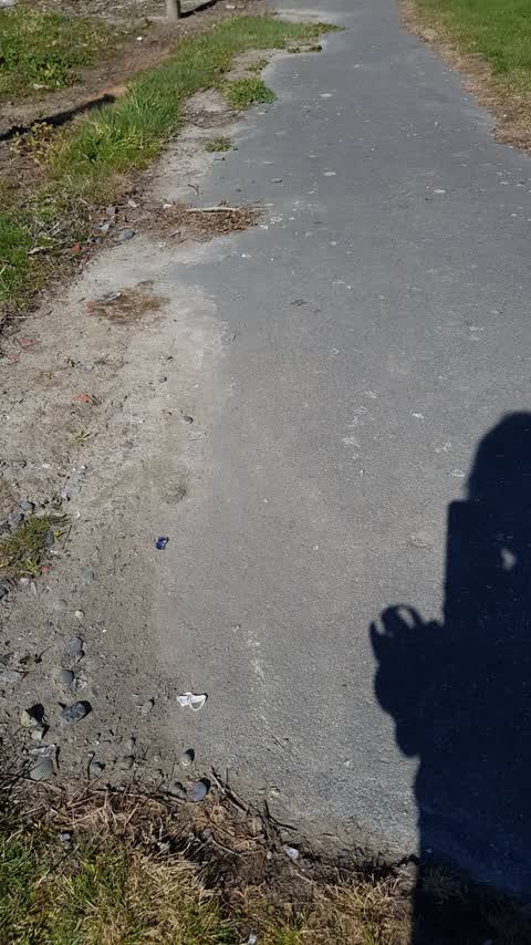 Rubbish/Recycling, a report photo