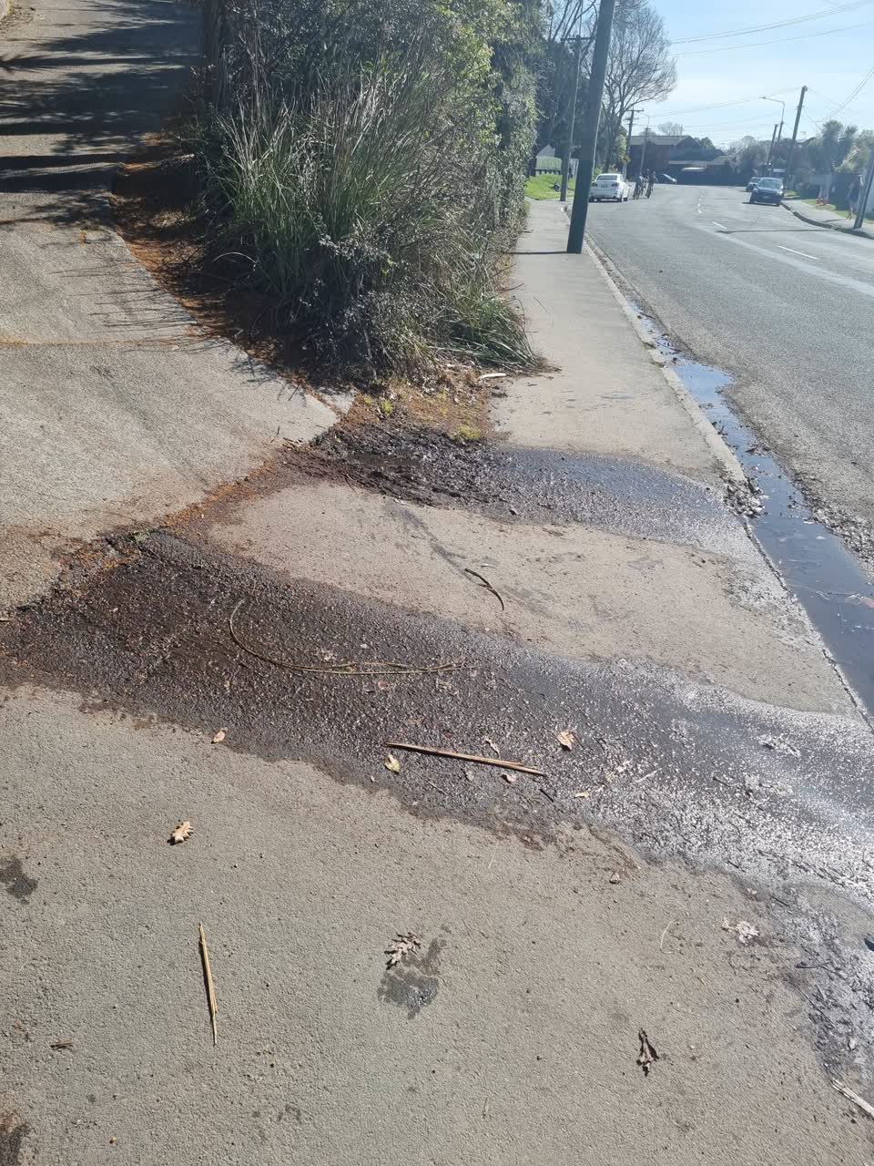 The photograph attached to this water leak report