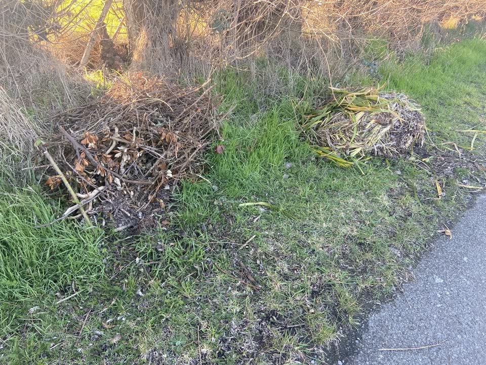 The photograph attached to this rubbish/recycling report