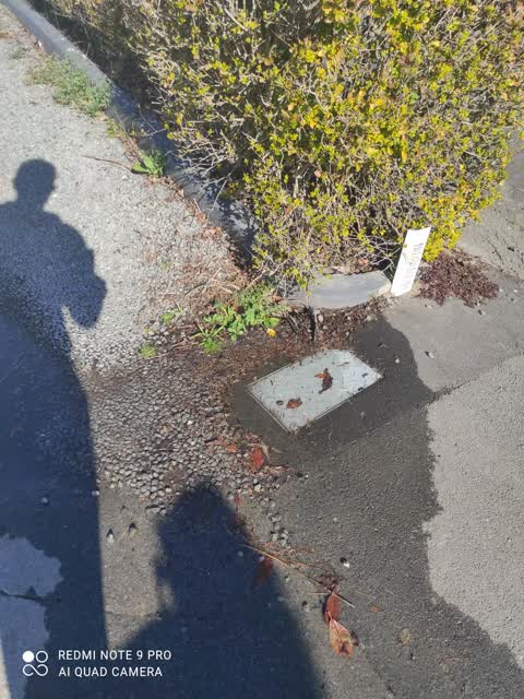 Water Leak, a report photo