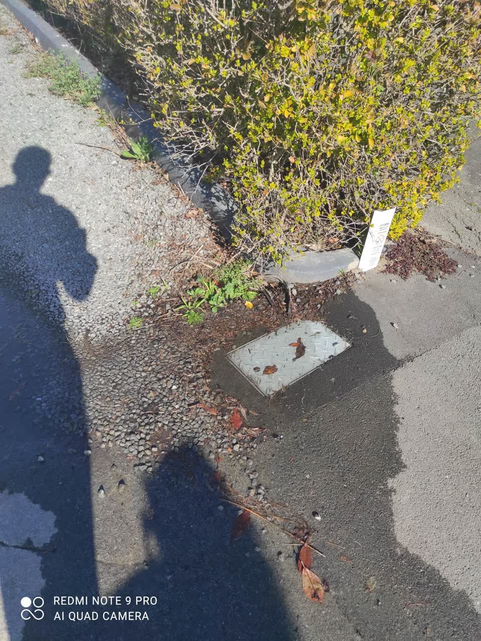 The photograph attached to this water leak report