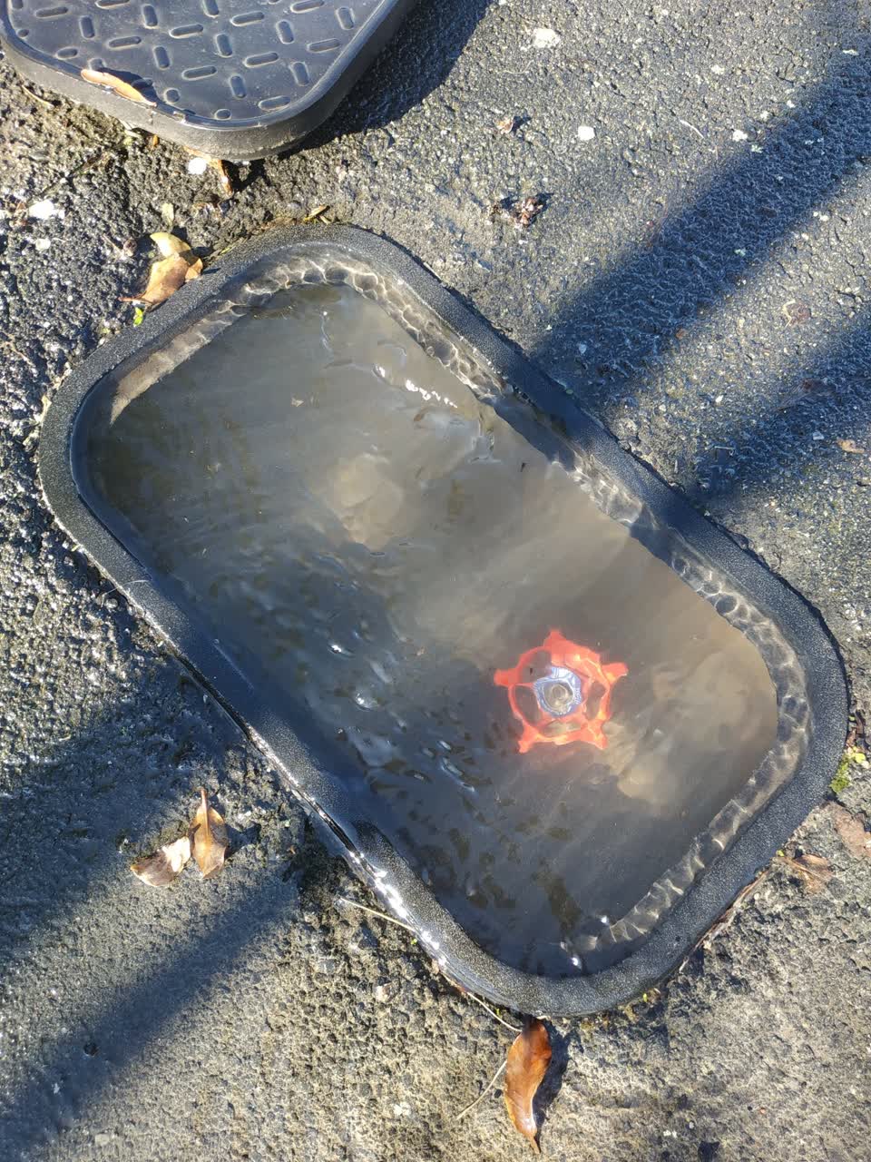 The photograph attached to this water leak report