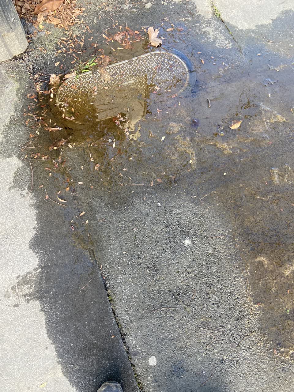 The photograph attached to this water leak report