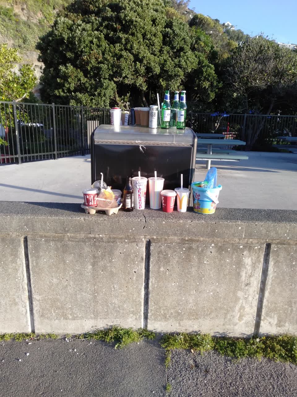 The photograph attached to this rubbish/recycling report