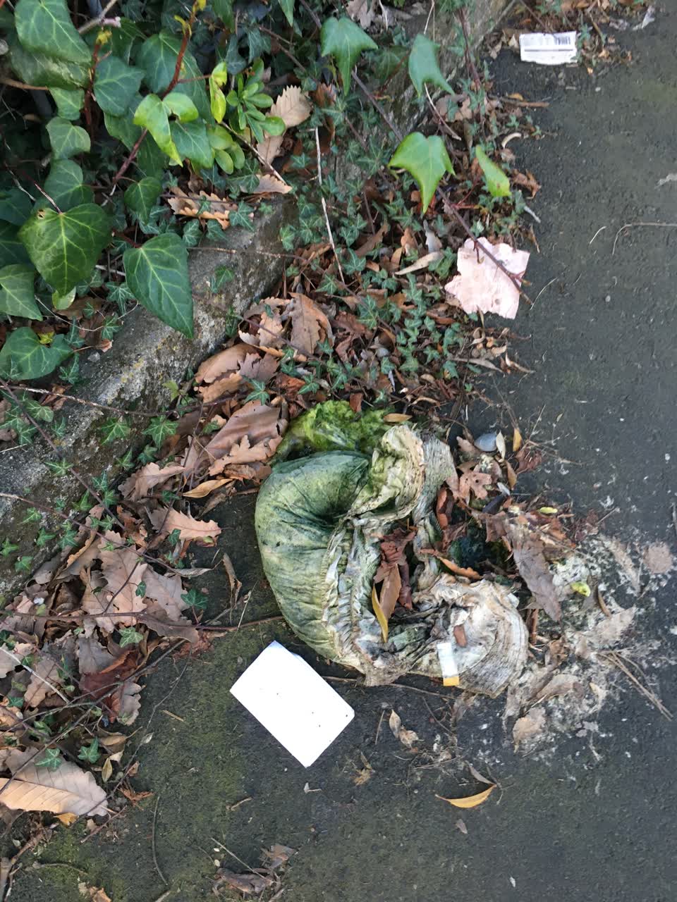 The photograph attached to this rubbish/recycling report