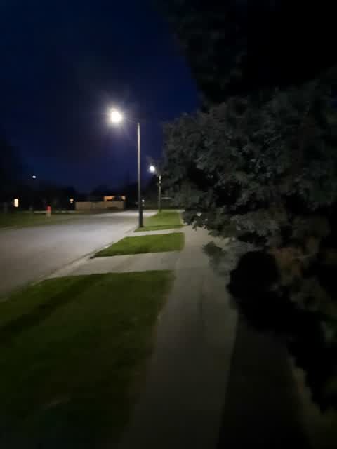 Roading/Streets, a report photo