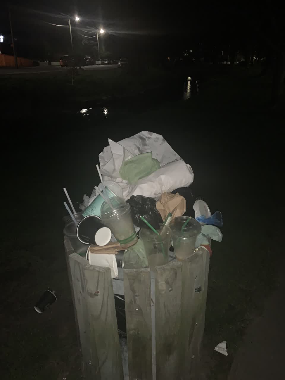 The photograph attached to this rubbish/recycling report