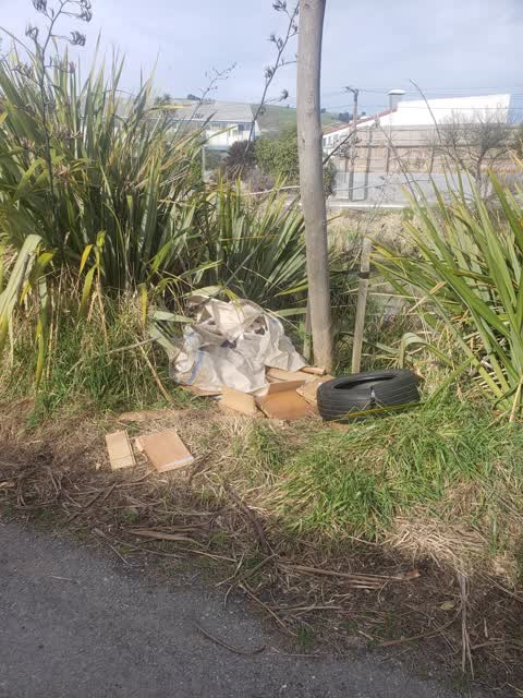 Rubbish/Recycling, a report photo