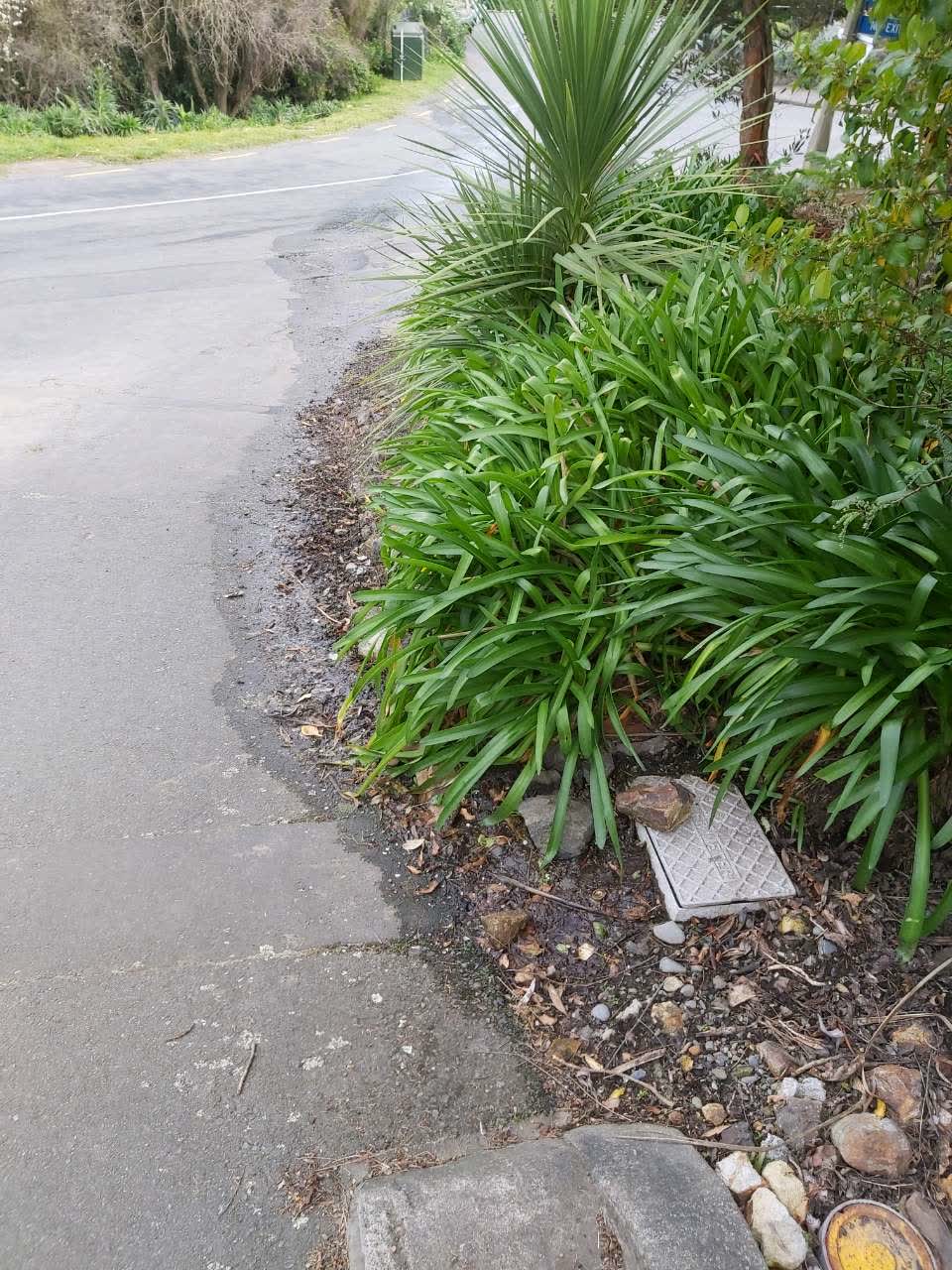 The photograph attached to this water leak report