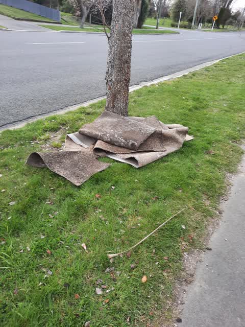 Rubbish/Recycling — a report photo