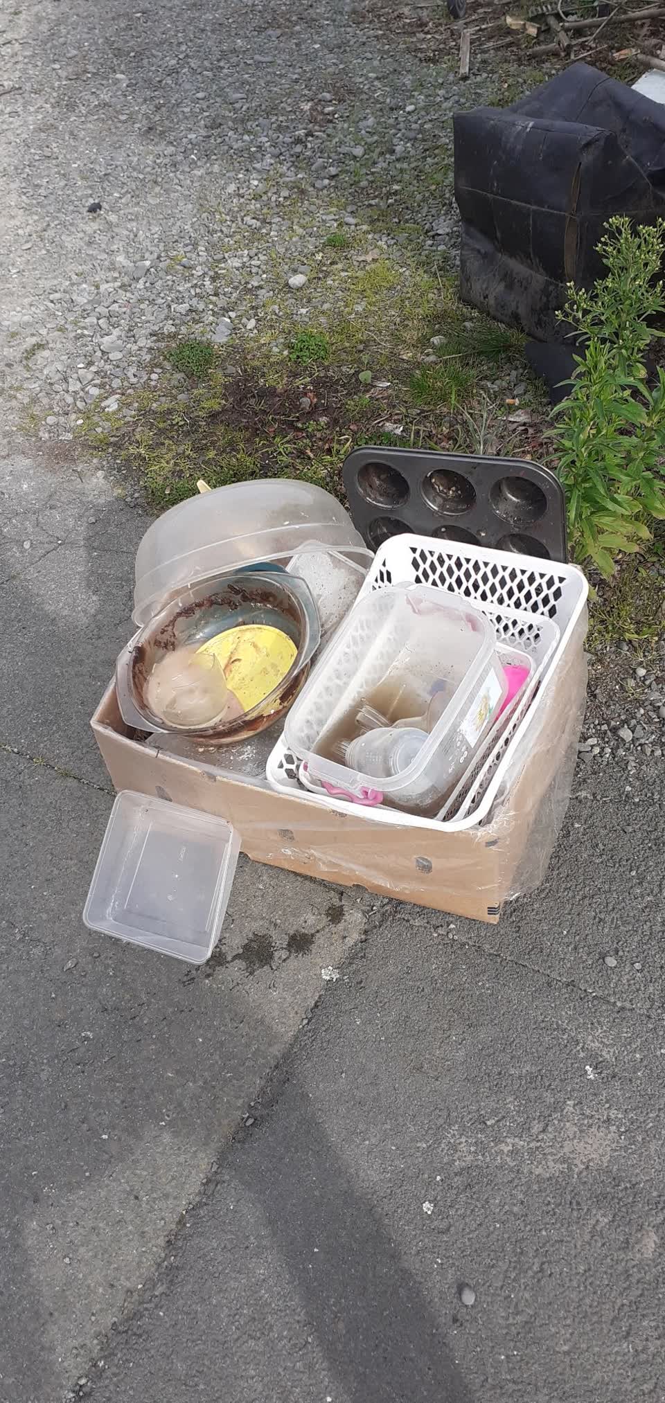 The photograph attached to this rubbish/recycling report