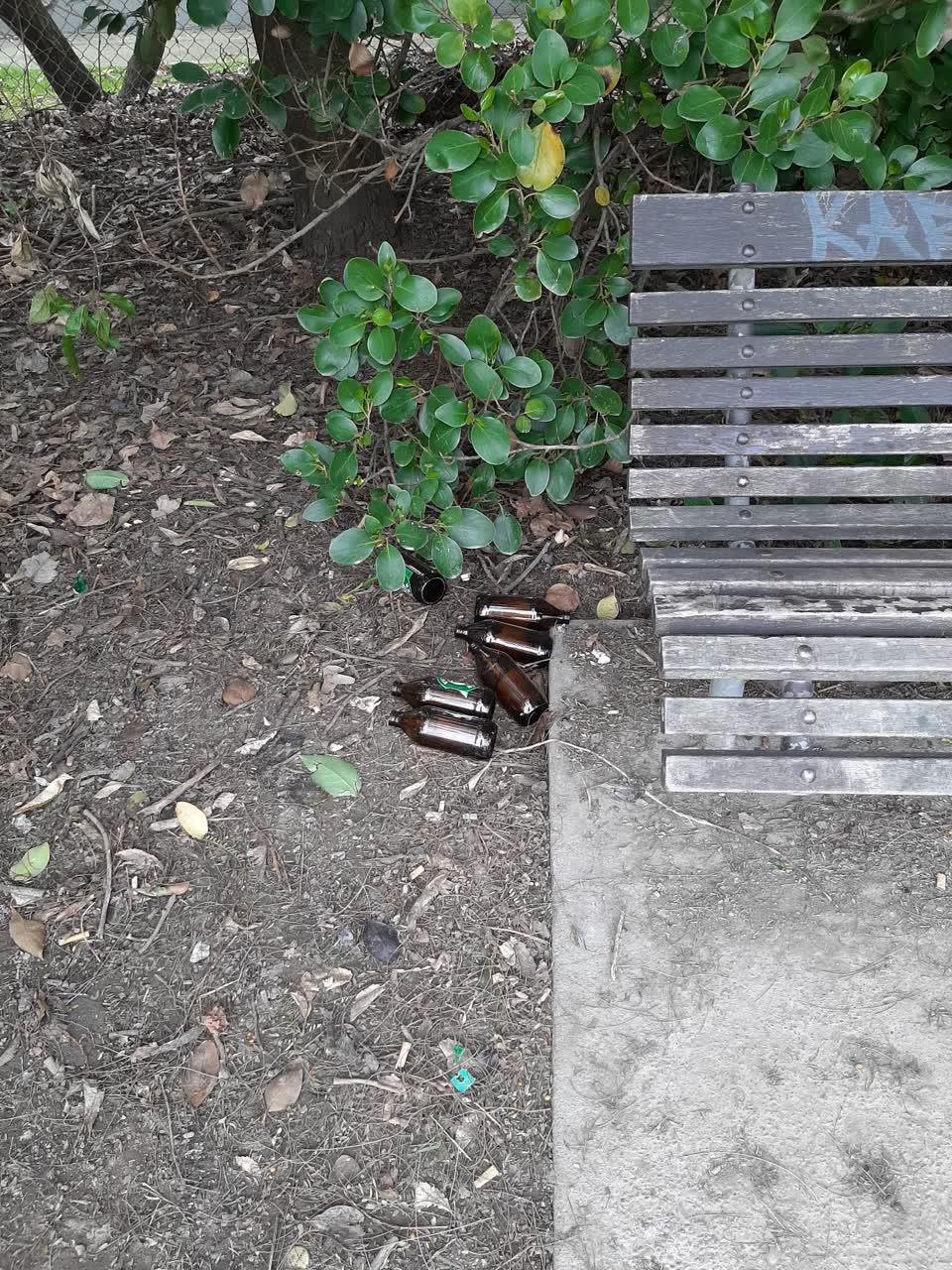 The photograph attached to this rubbish/recycling report