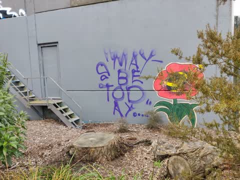 Graffiti — a report photo