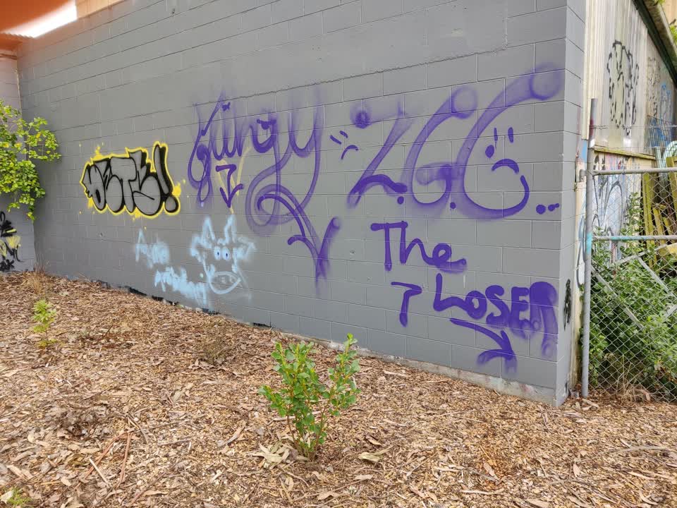 The photograph attached to this graffiti report