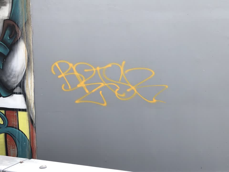The photograph attached to this graffiti report