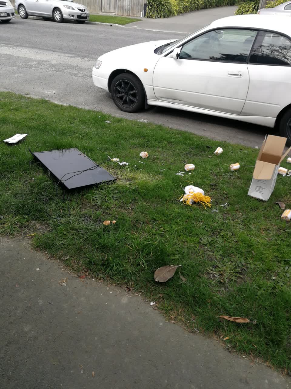 The photograph attached to this rubbish/recycling report