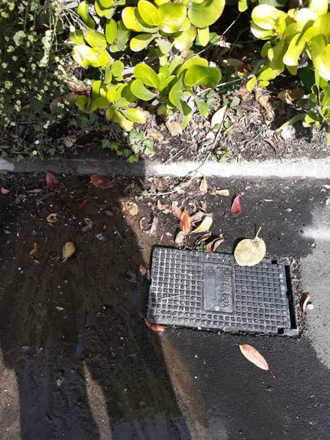 Water Leak, a report photo
