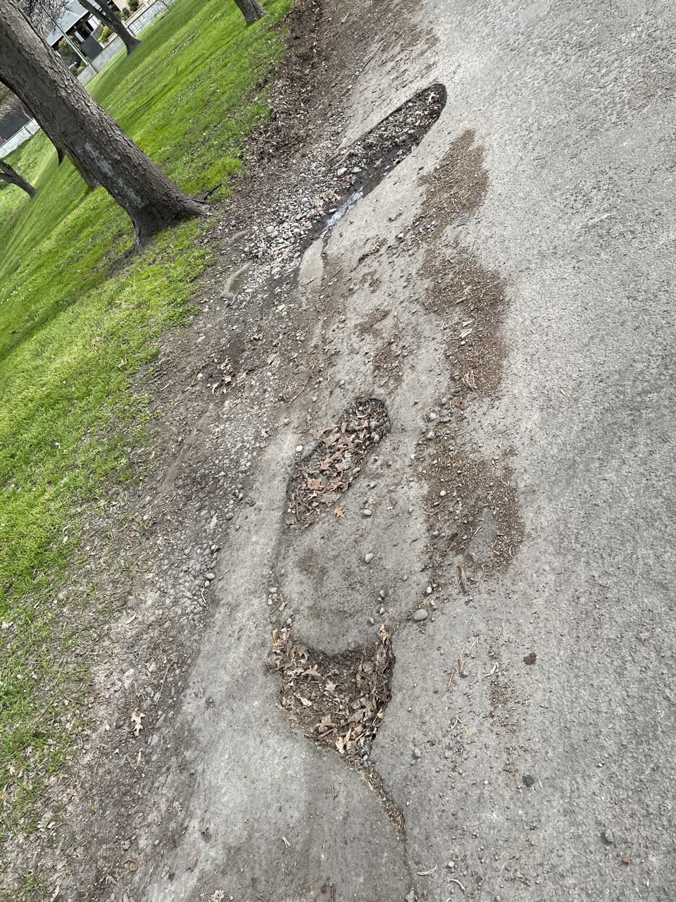 The photograph attached to this roading/streets report