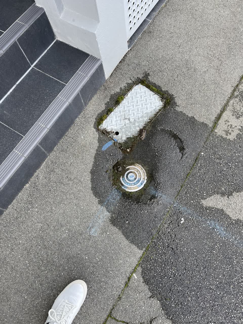 The photograph attached to this water leak report