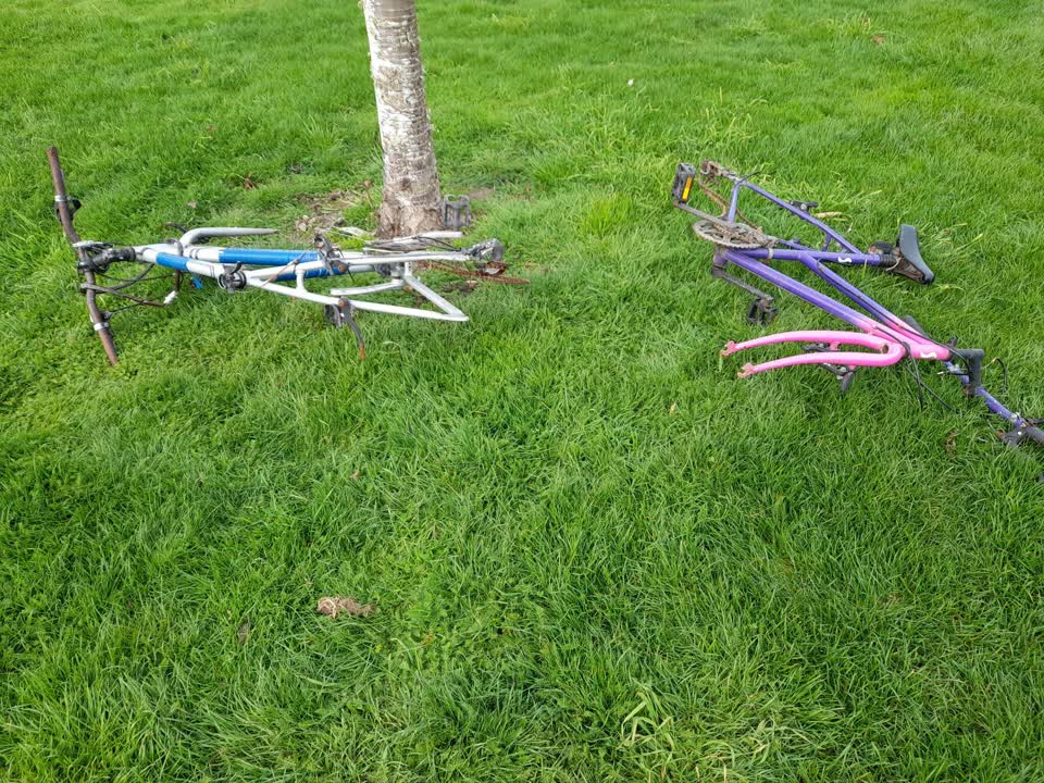 The photograph attached to this parks report