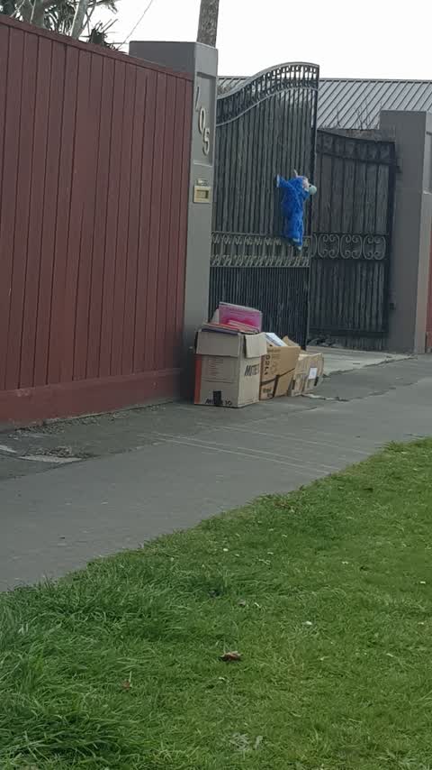 Rubbish/Recycling, a report photo