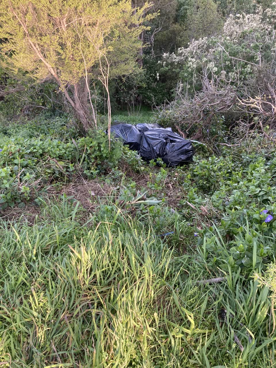 The photograph attached to this rubbish/recycling report