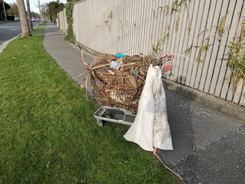 Rubbish/Recycling, a report photo