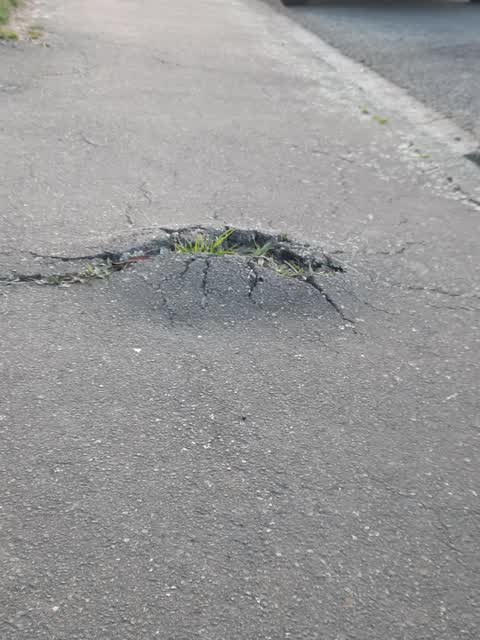 Roading/Streets, a report photo