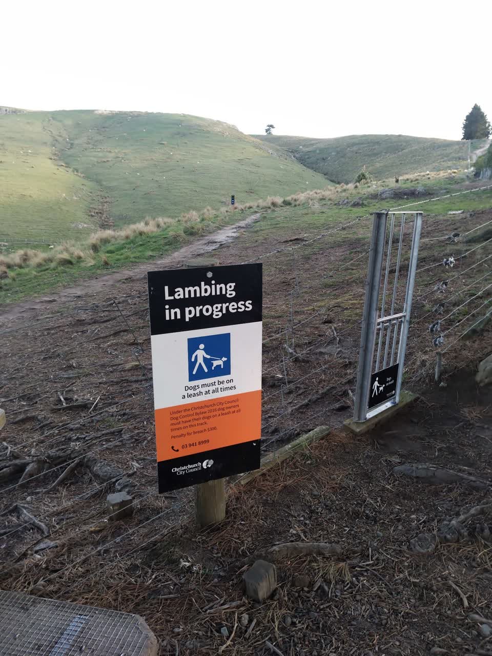The photograph attached to this parks report