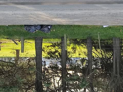 Rubbish/Recycling, a report photo