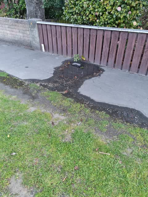 Water Leak, a report photo