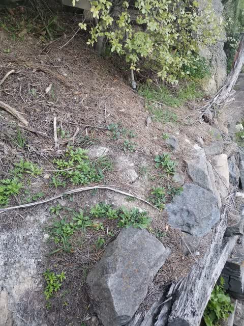 Water Leak, a report photo