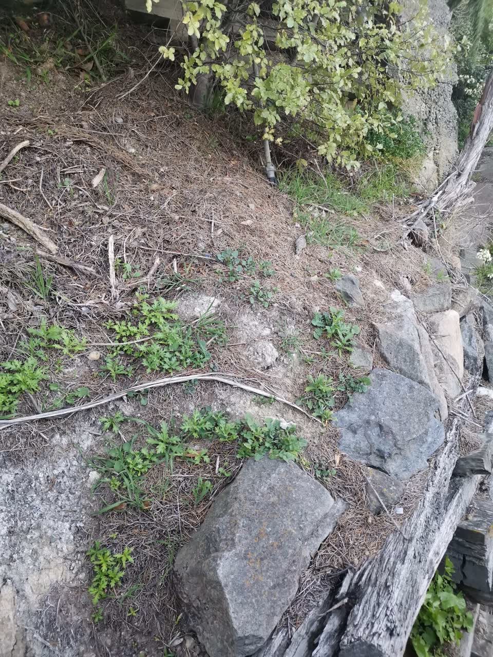 The photograph attached to this water leak report