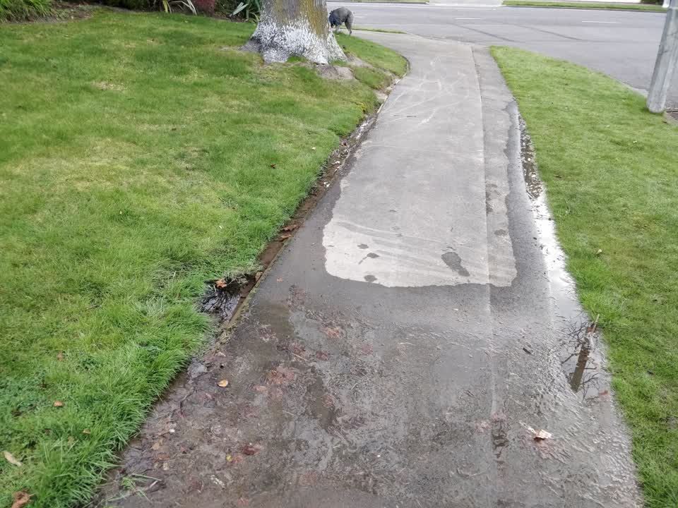 The photograph attached to this water leak report