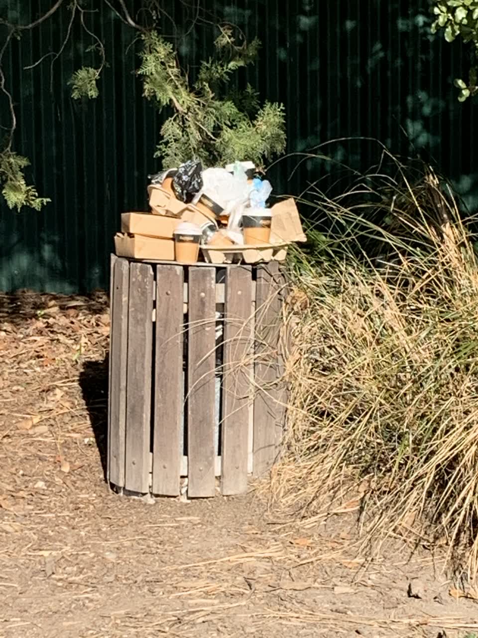 The photograph attached to this parks report
