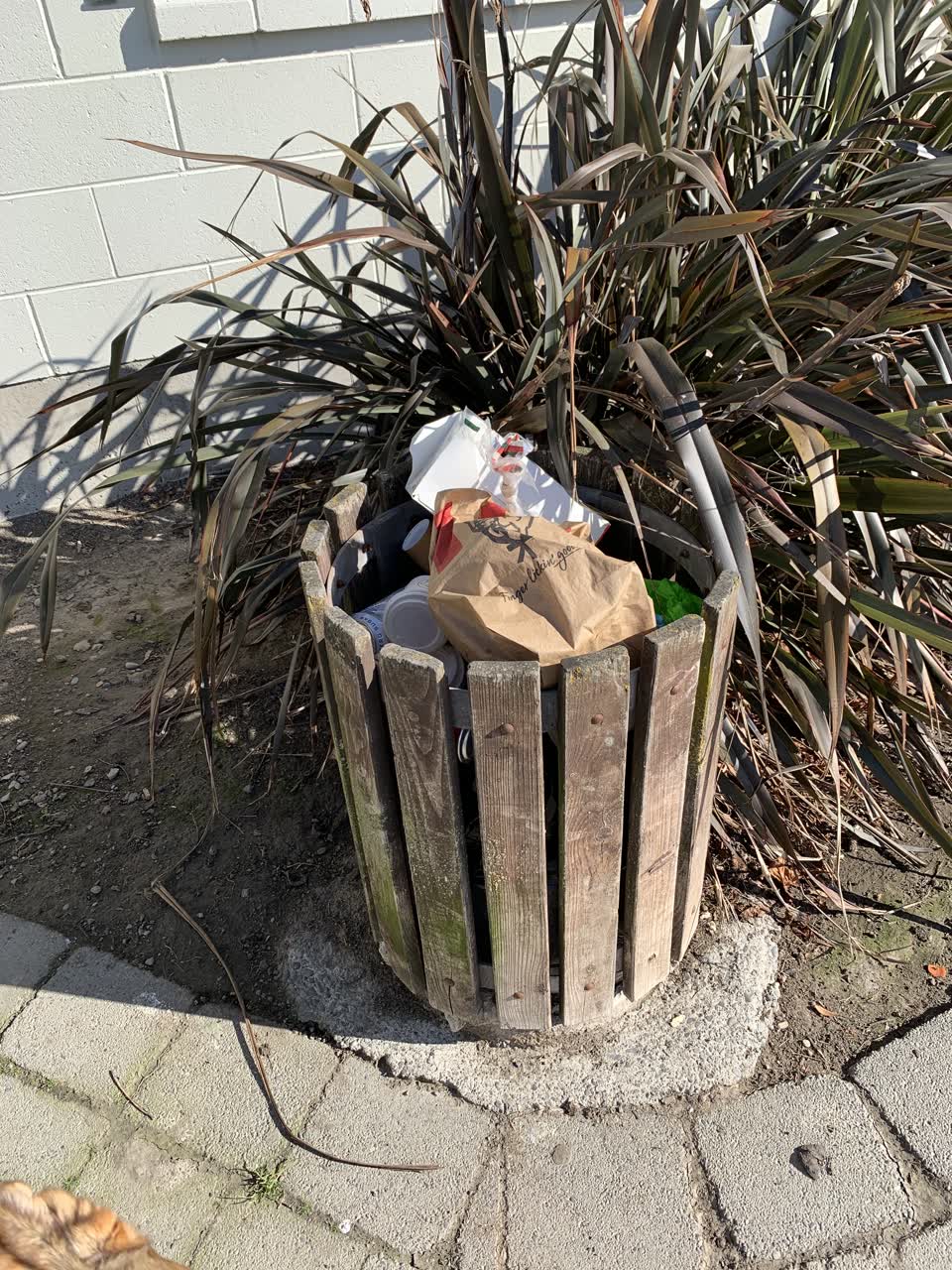 The photograph attached to this rubbish/recycling report