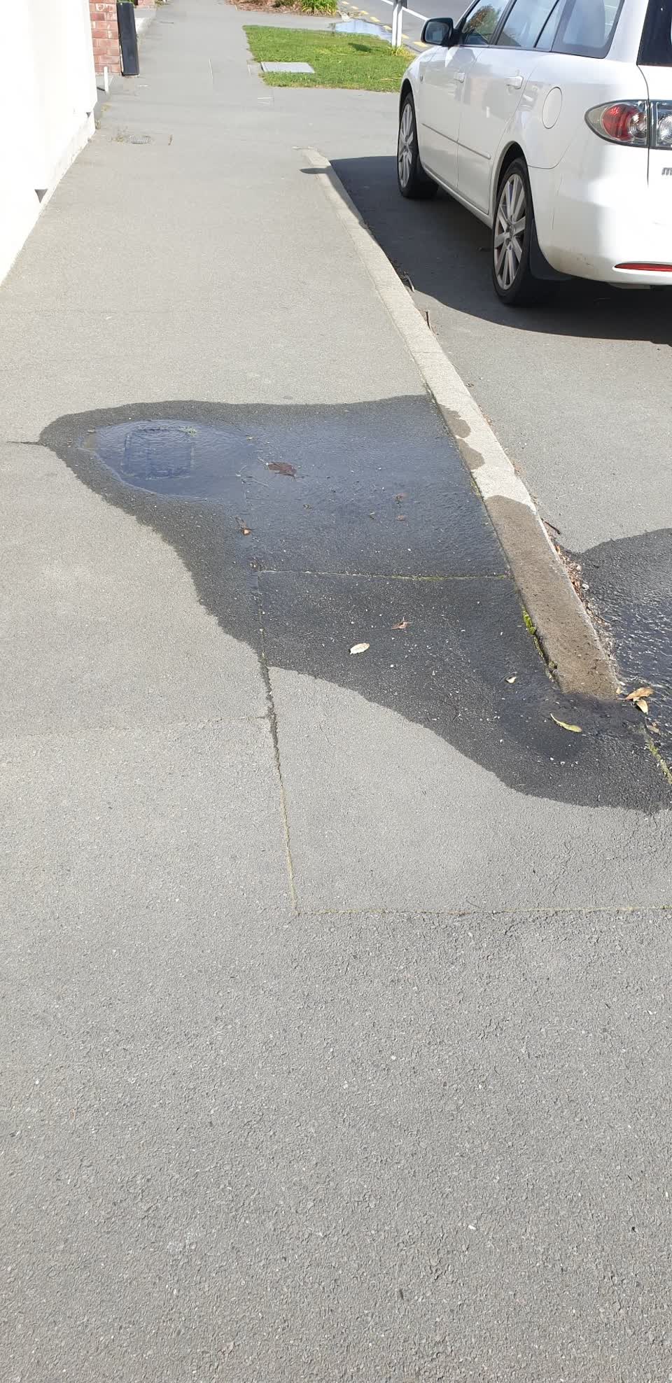 The photograph attached to this water leak report